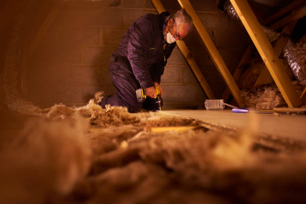 Best Cellulose Insulation in Las Campanas, NM